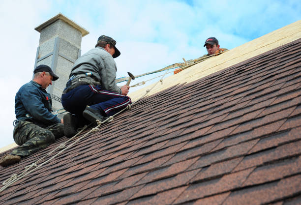Best Storm Damage Roof Repair  in Brewster Hill, NY
